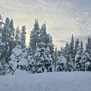 Meet your Posher, Chloe